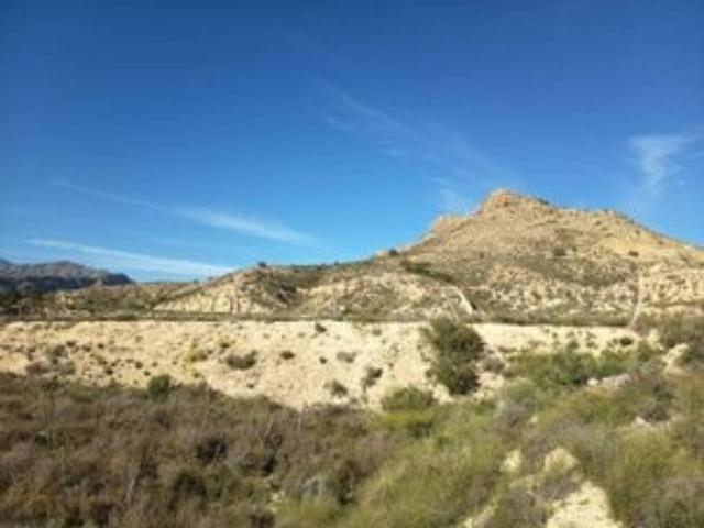 Terreno en venta en Carretera de Agost s/n, Cañada del Fenollar