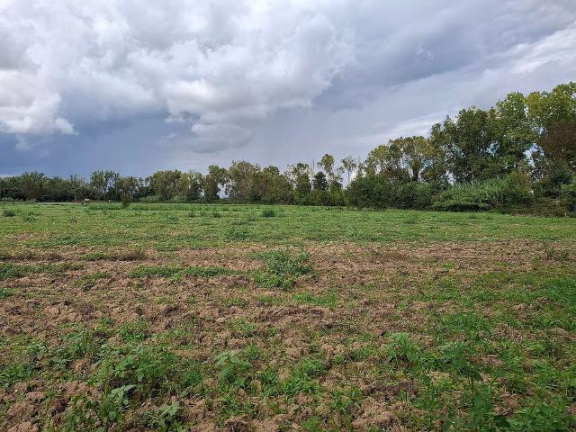 Terreno en venta en carretera De Lloret de Mar a Vídreres, Vidreres, de 10.000 m² por 60.000