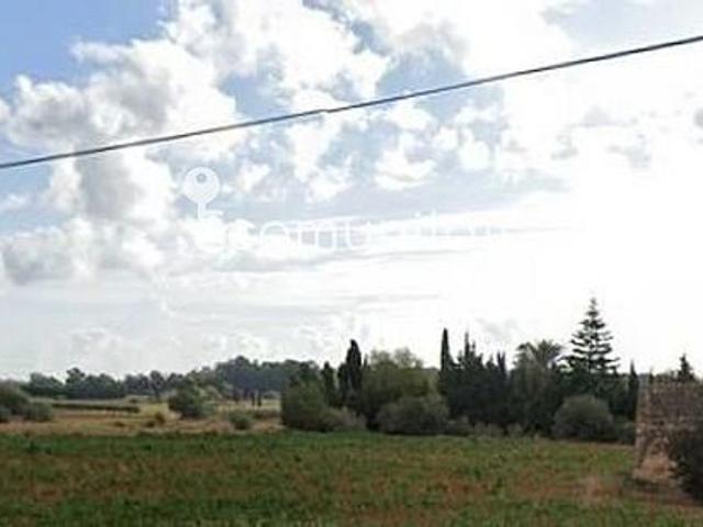 Terreno en venta en carretera Nacional, Amposta, de 11.410 m² por 45.000
