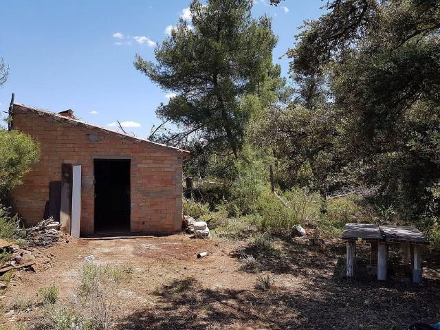 Terreno en venta en carretera, Pobla de Cérvoles, la, de 24.000 m² por 23.000