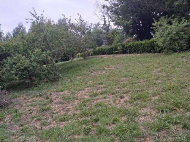 Terreno en Venta en Carreño