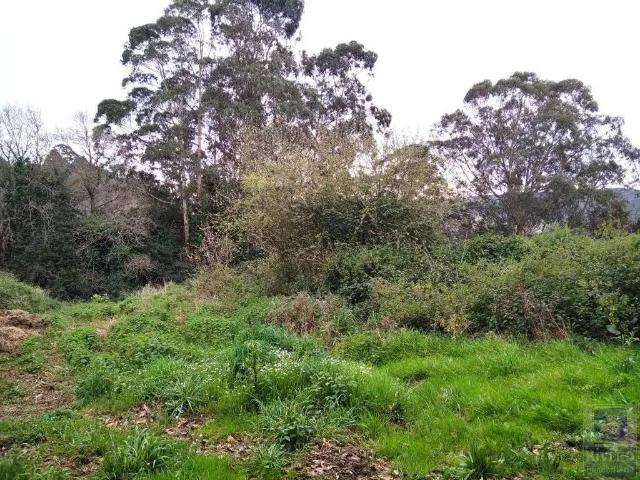 Terreno en Venta en Carreño