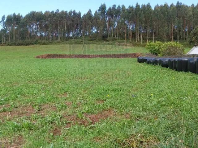 Terreno en Venta en Carreño