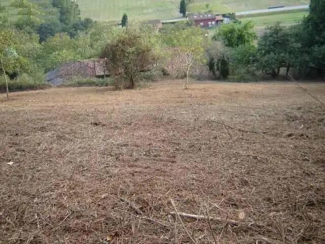 Terreno en Venta en Carreño