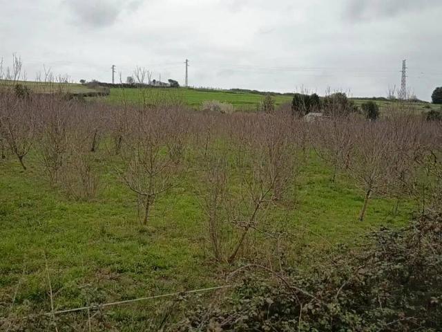 Terreno en Venta en Carreño
