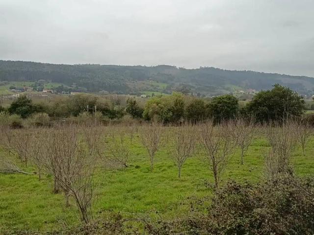 Terreno en Venta en Carreño