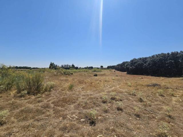 Terreno en Venta en Carrión de Calatrava