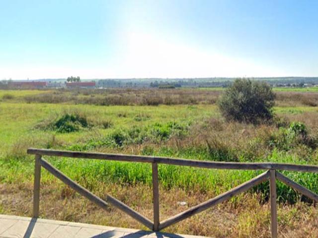 Terreno en venta en Carrión De Los Céspedes