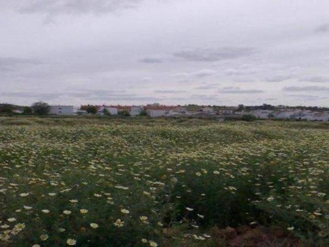 Terreno en Venta en Carrión de los Céspedes