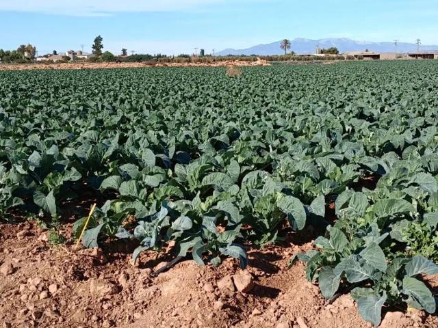 Terreno en Venta en Cartagena