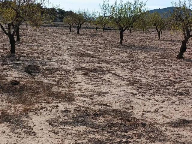 Terreno en Venta en Cartagena