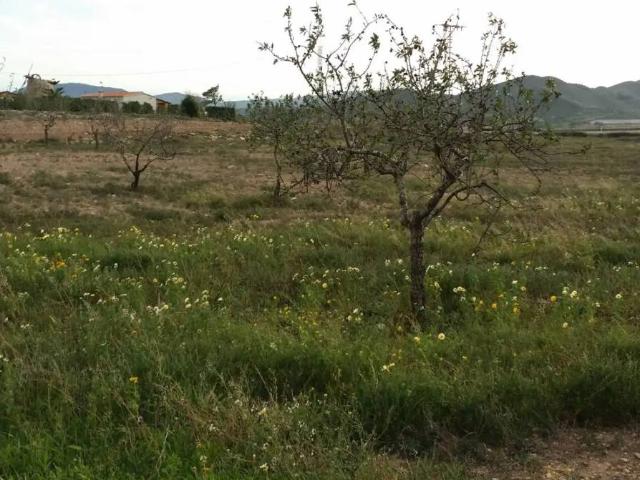 Terreno en Venta en Cartagena