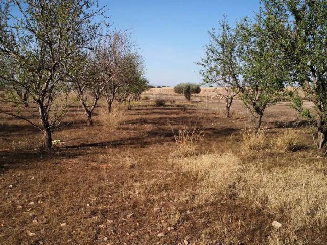 Terreno en Venta en Cartagena