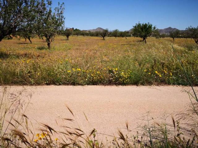 Terreno en Venta en Cartagena
