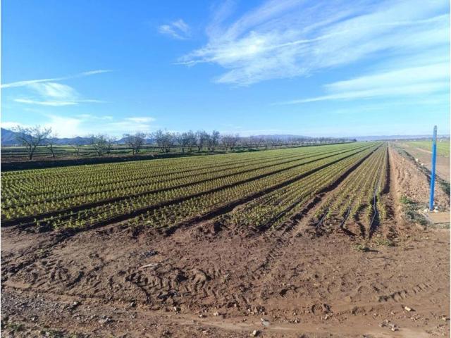 Terreno en Venta en Cartagena