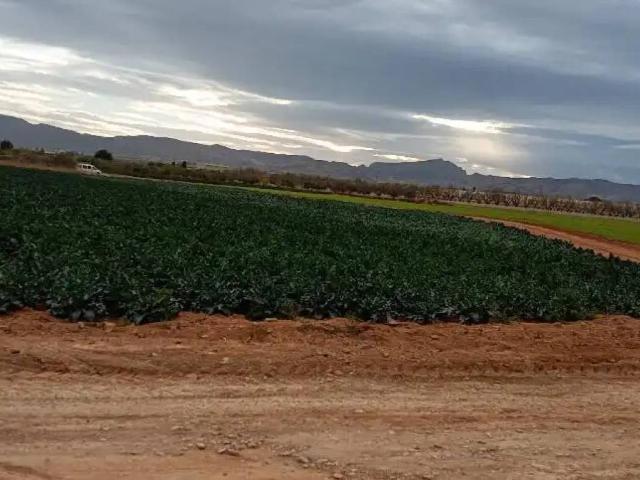 Terreno en Venta en Cartagena