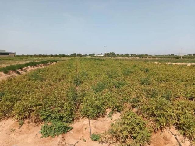 Terreno en Venta en Cartagena