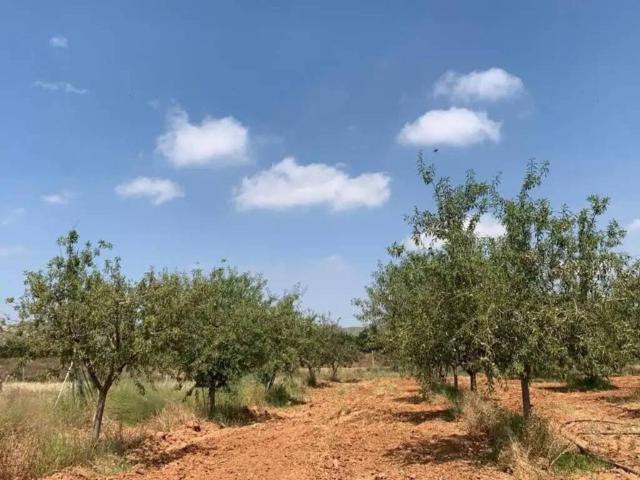 Terreno en Venta en Cartagena