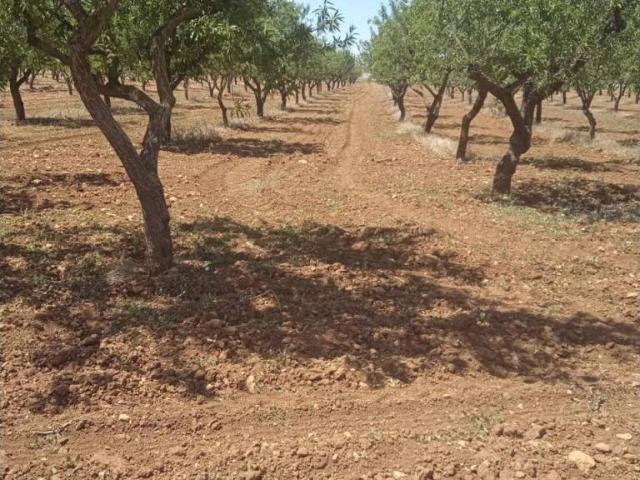Terreno en Venta en Cartagena