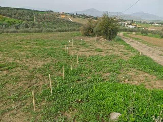 Terreno en Venta en Cártama