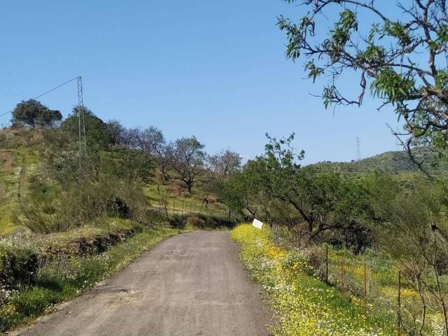 Terreno en Venta en Cártama