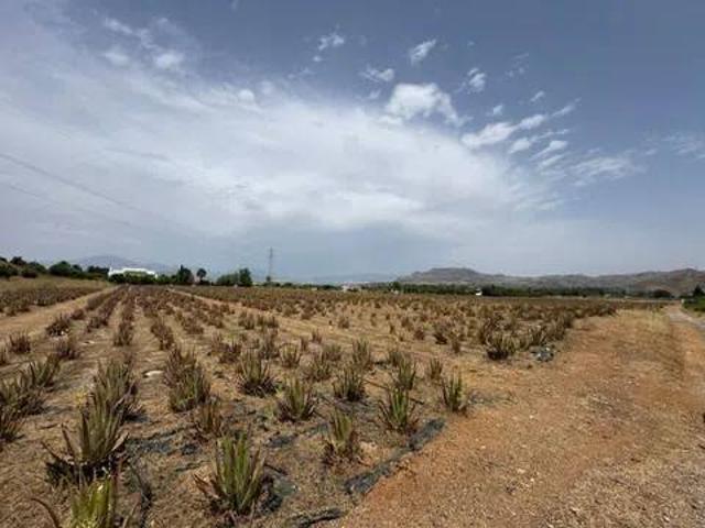Terreno en Venta en Cártama