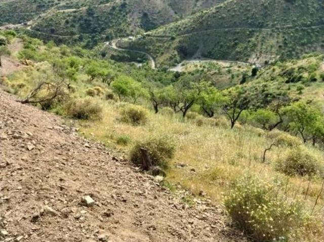 Terreno en Venta en Cártama