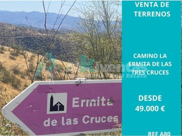 Terreno en Venta en Cártama