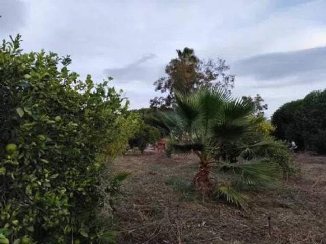 Terreno en Venta en Cártama