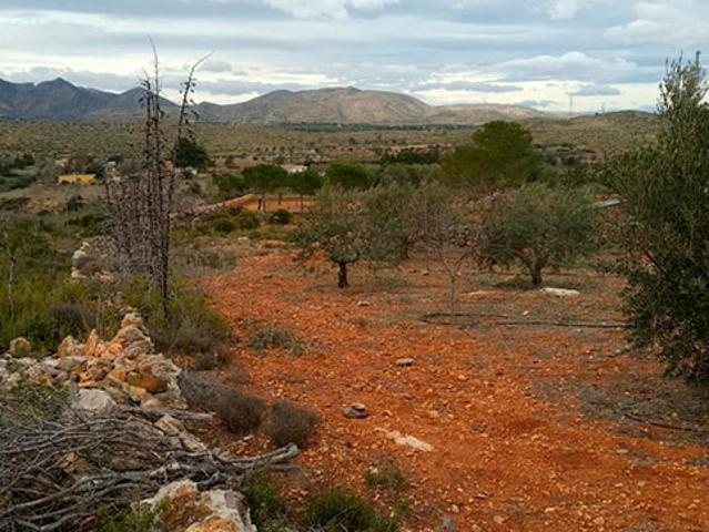 Terreno en venta en Catadau