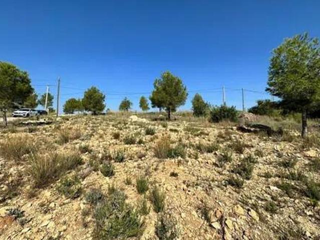 Terreno en Venta en Catadau