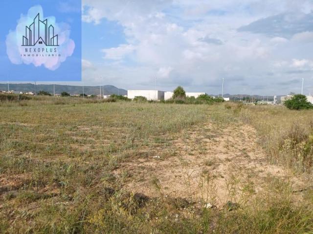 Terreno en venta en Catadau, Pol. Cami Oliveres