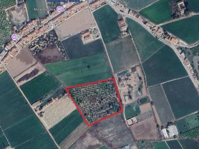 Terreno en Venta en Catral