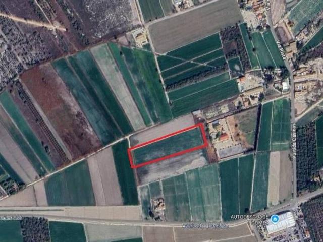 Terreno en Venta en Catral