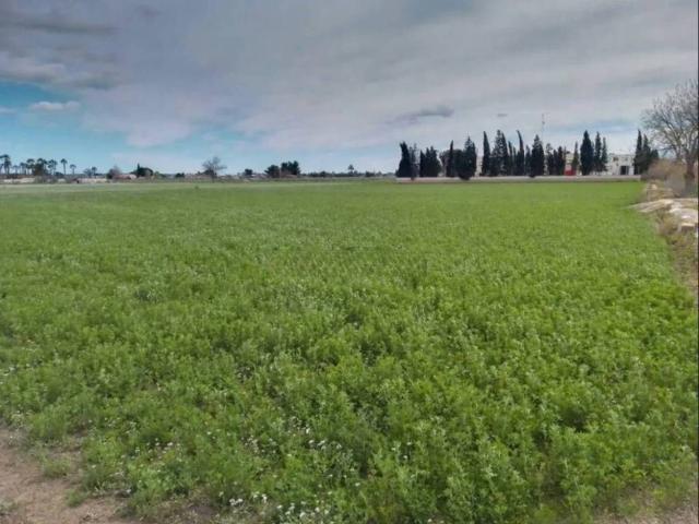 Terreno en Venta en Catral
