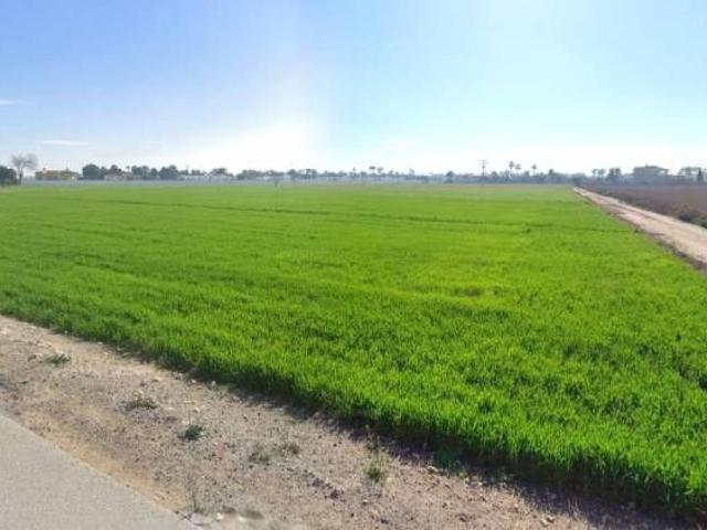 Terreno en Venta en Catral