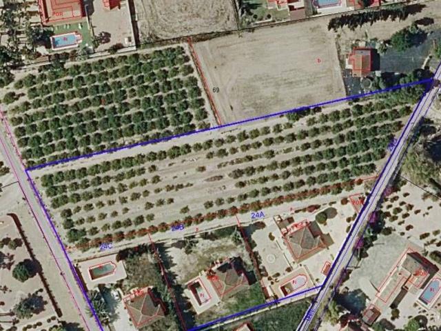 Terreno en Venta en Catral