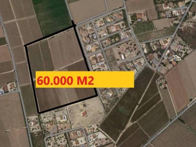 Terreno en Venta en Catral