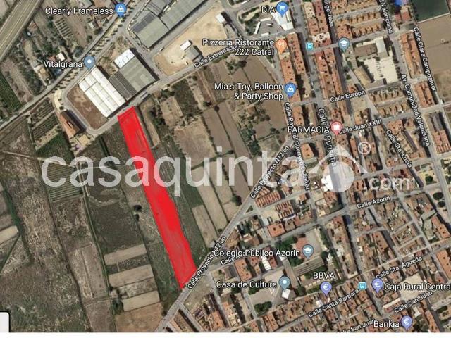 Terreno en Venta en Catral