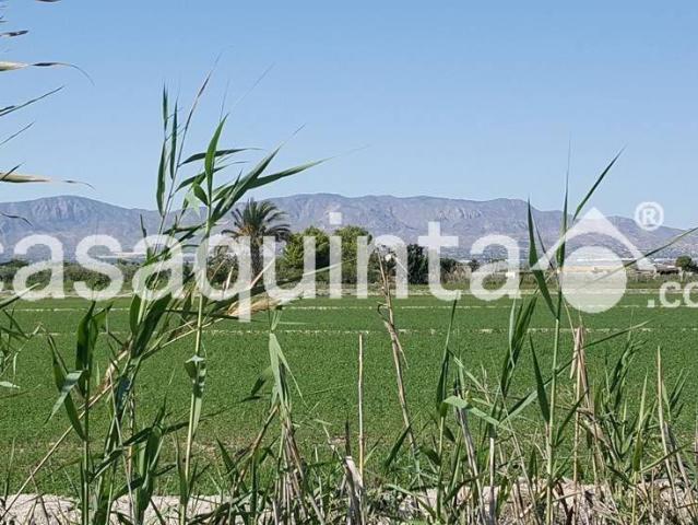 Terreno en Venta en Catral