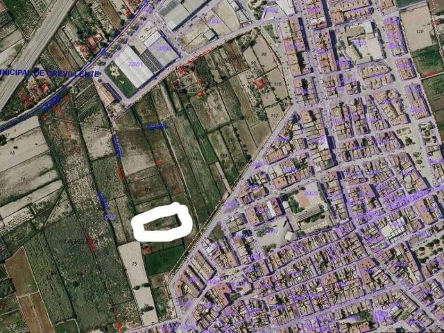 Terreno en Venta en Catral