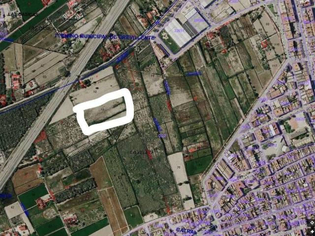 Terreno en Venta en Catral
