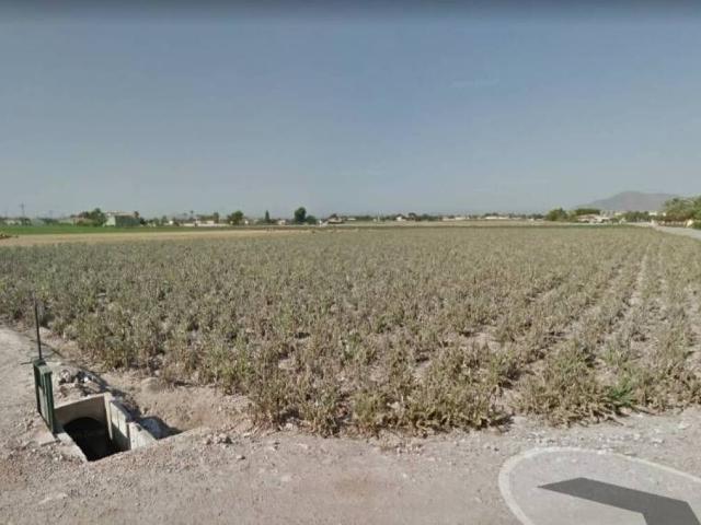Terreno en Venta en Catral