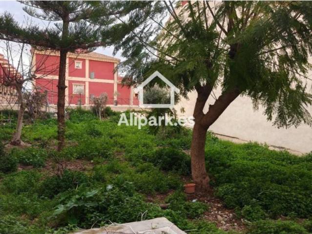 Terreno en Venta en Catral