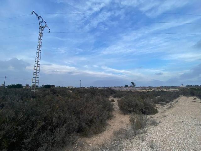 Terreno en Venta en Catral