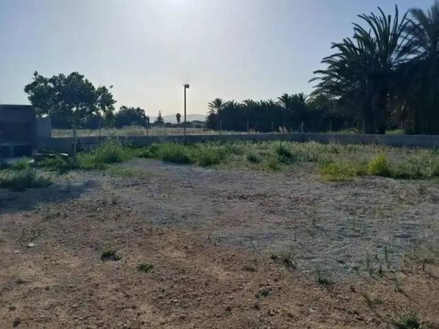 Terreno en Venta en Catral