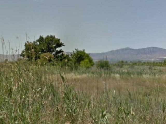 Terreno en Venta en Catral