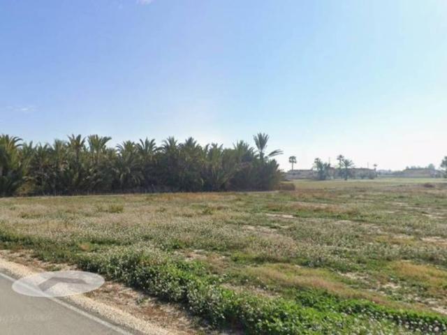 Terreno en Venta en Catral