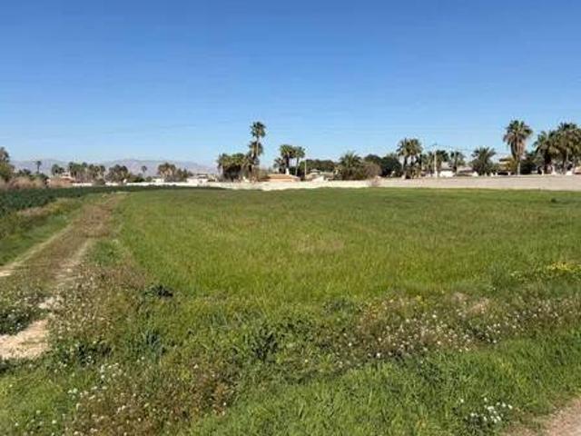 Terreno en Venta en Catral