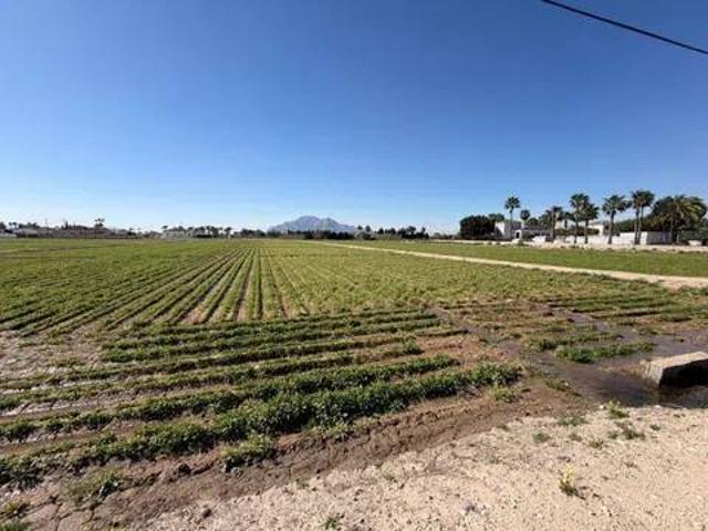 Terreno en Venta en Catral